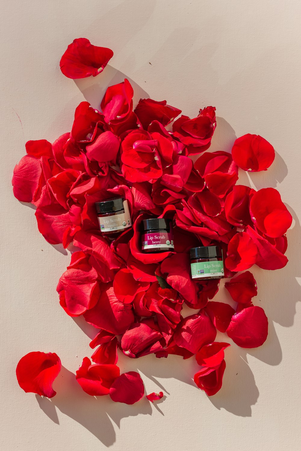 Affiliate Update January 26, 2024 Beauty by Earth