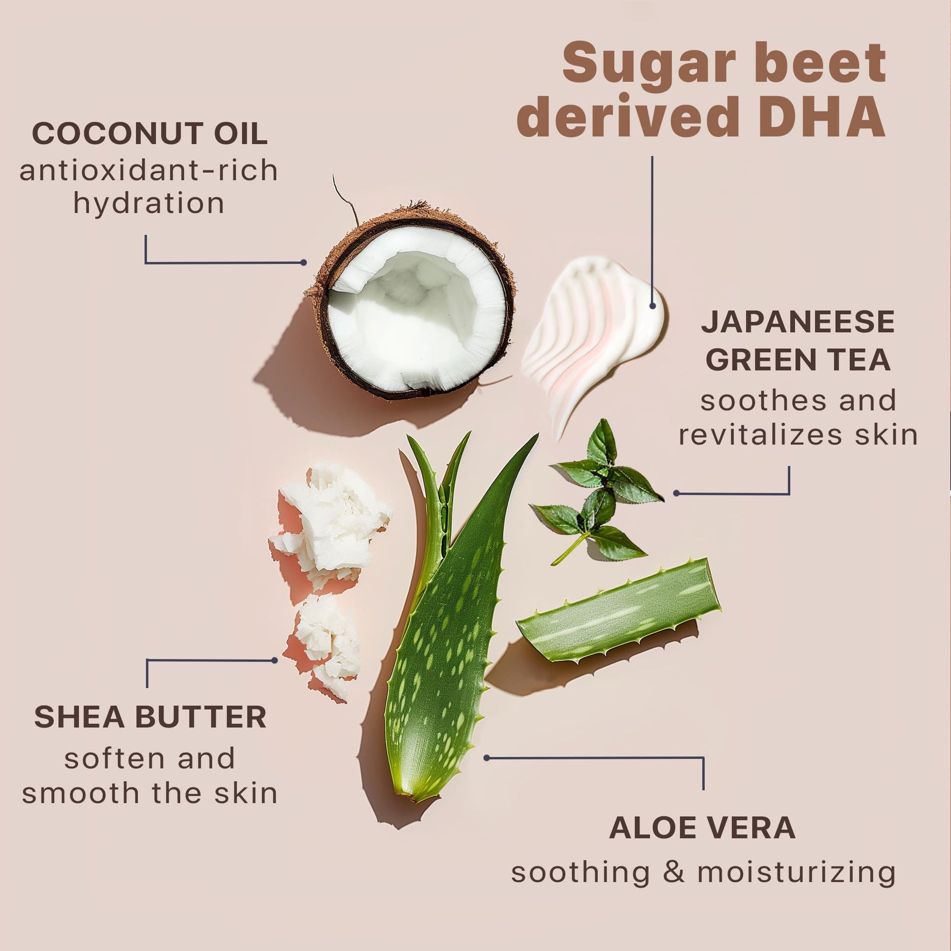 Key Ingredients - Coconut Oil, Sugar Beet derived DHA, Japanese Green Tea, Shea Butter, Aloe Vera