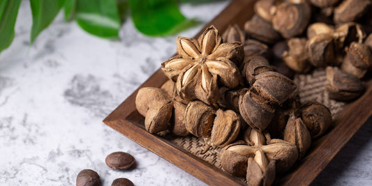 All about Sacha Inchi Fruit & Its Benefits for the Skin