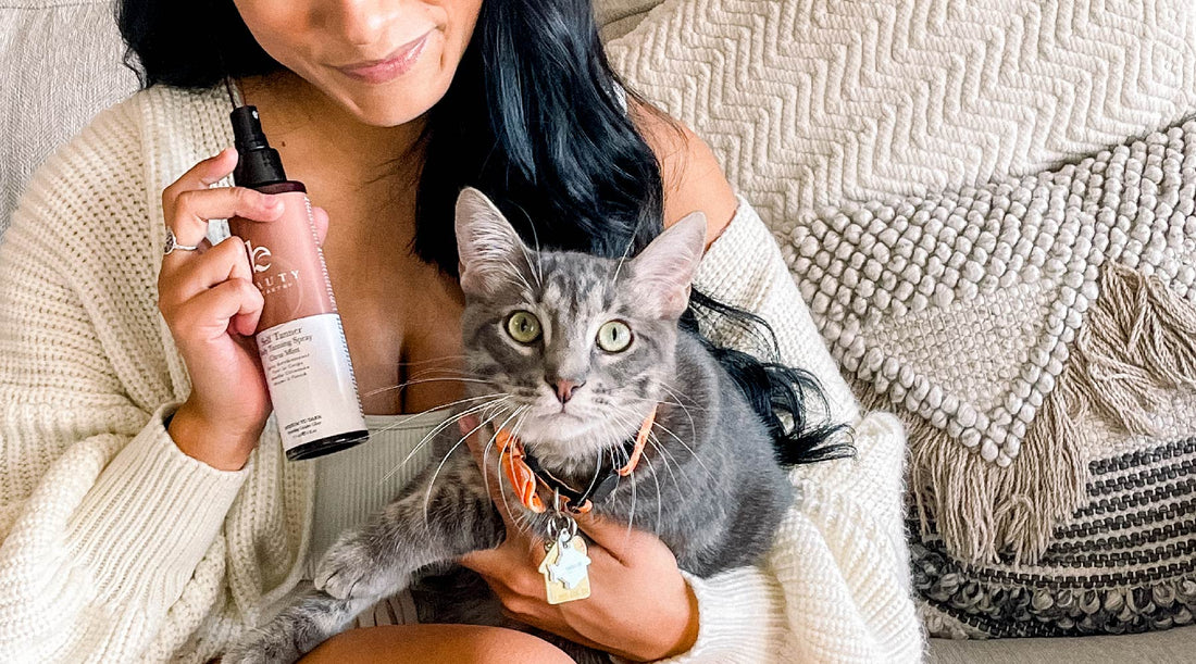 The Best Gifts for Pet Owners
