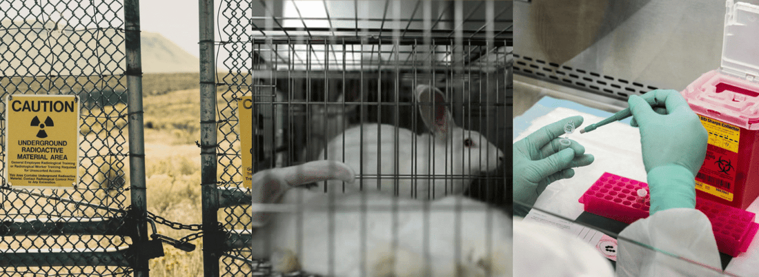 Cruelty-Free Skin Care: What You Need to Know