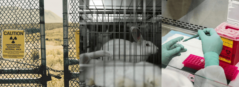 Cruelty-Free Skin Care: What You Need to Know
