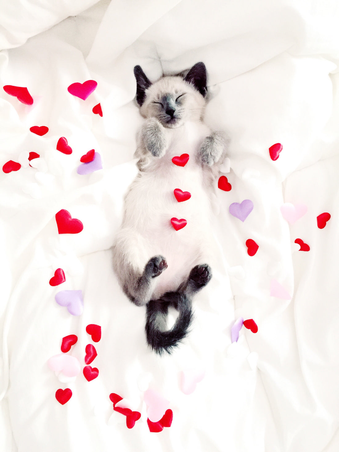 16 of the best Gifts for Galentine's Day Gifts for 2023