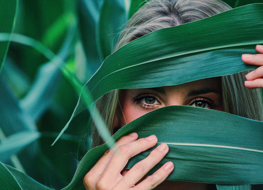 6 BBE Products You've Probably Never Heard Of