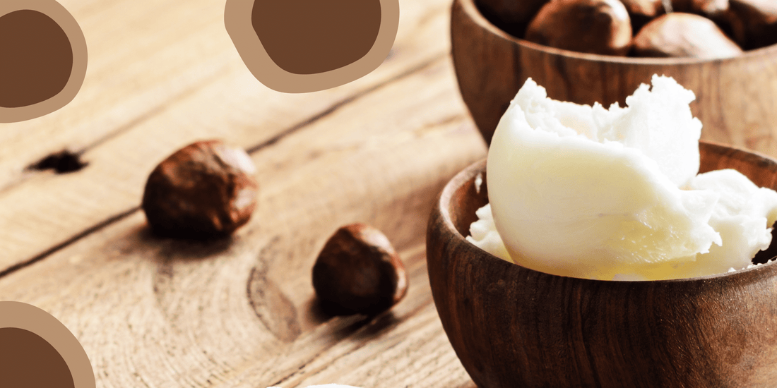 Shea Butter — Benefits and Uses for this Powerful Ingredient