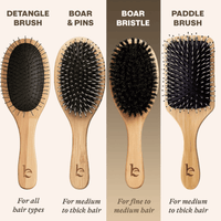 Set of four hairbrushes with different bristle types and descriptions on a beige background.