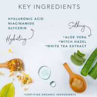 Lotion tonique et brume pour le visage à l'acide hyaluronique (GRATUITES)