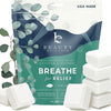 BREATHE - Shower Steamers (14-Pack)