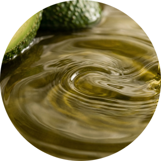 Avocado Oil
