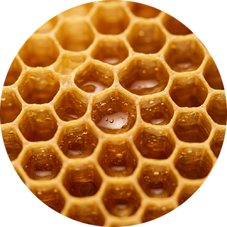 Beeswax