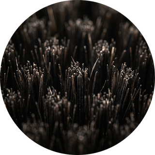 Boar Bristles