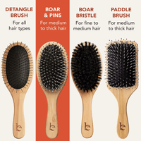 Four types of hairbrushes with descriptions and branding on a red and beige background.