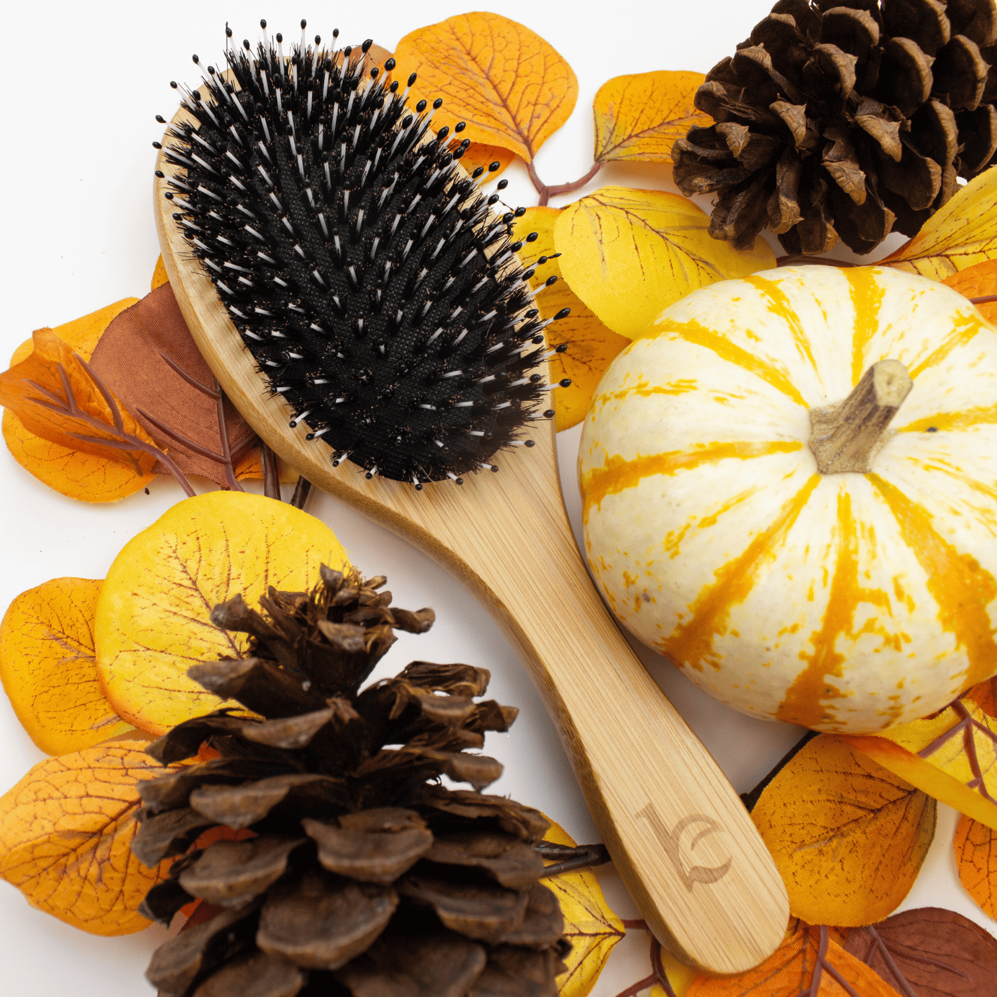 Wooden hairbrush with black bristles on a white background with pumpkins, pinecones, and leaves.