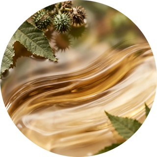Castor Seed Oil