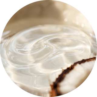 Coconut Oil