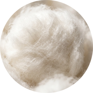 Cotton