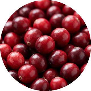 Cranberry Fruit Extract