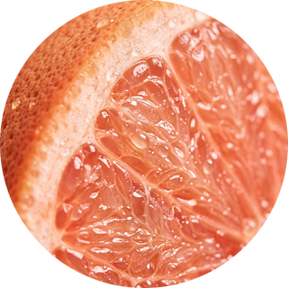 Grapefruit Extract