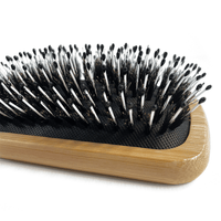 Hairbrush with black bristles and wooden handle on a white background