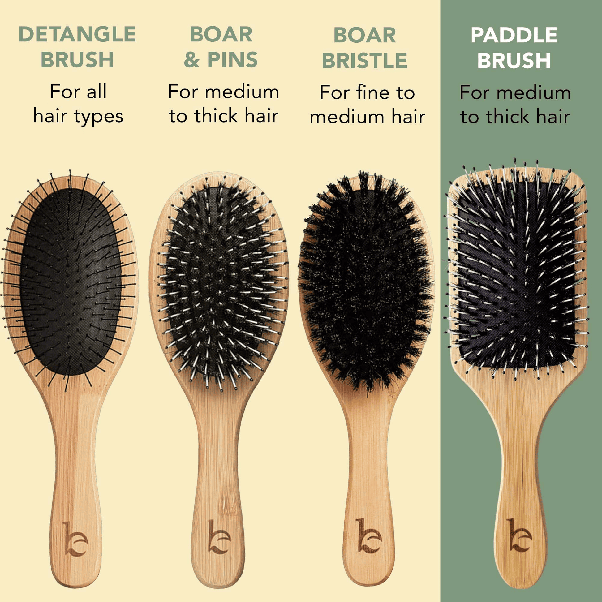Four hairbrushes with different bristle patterns and descriptions on a beige and green background.