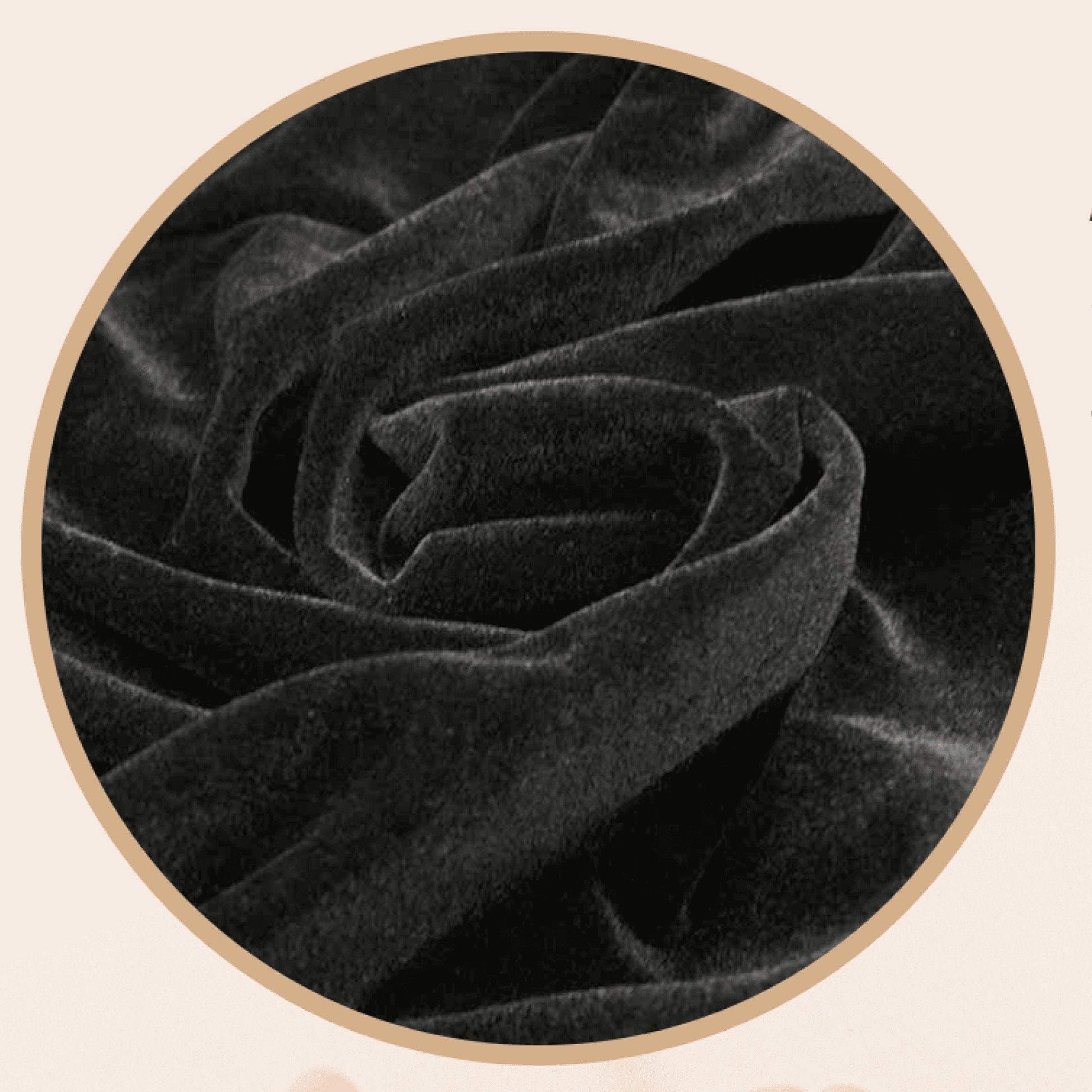 Close-up of black velvet fabric with a beige circular border