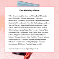 Superfruits Face Wash (Travel Size)