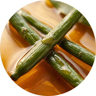 Vanilla Fruit Essential Oil