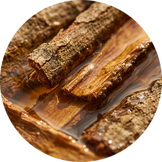 Willow Bark Extract