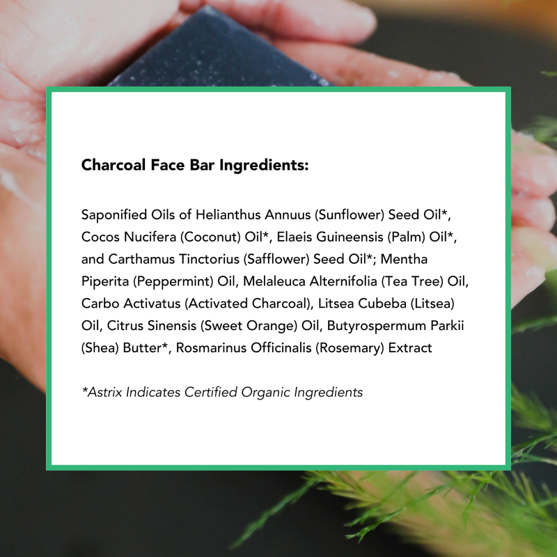 Charcoal Face Bar Beauty by Earth