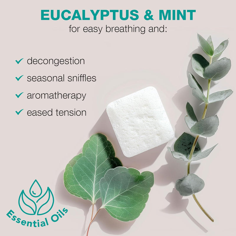 eucalyptus-and-mint