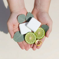 Spring Zest Shower Steamers - 7-Pack (Limited Edition)