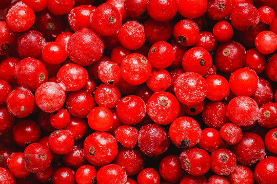 Cranberry Extract