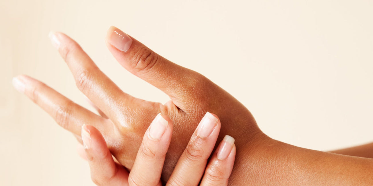 Privacy Policy Header 