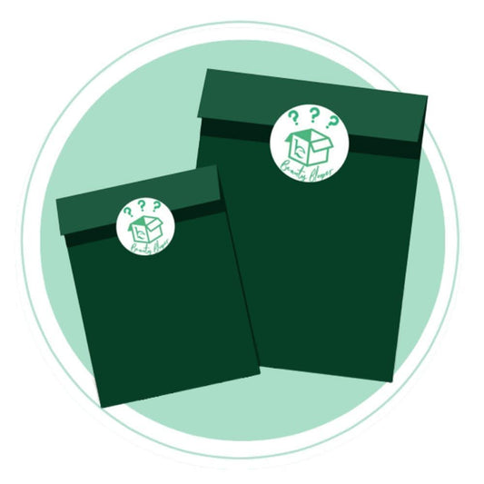 Beauty Blooper - {{variant_title}} - Beauty by Earth